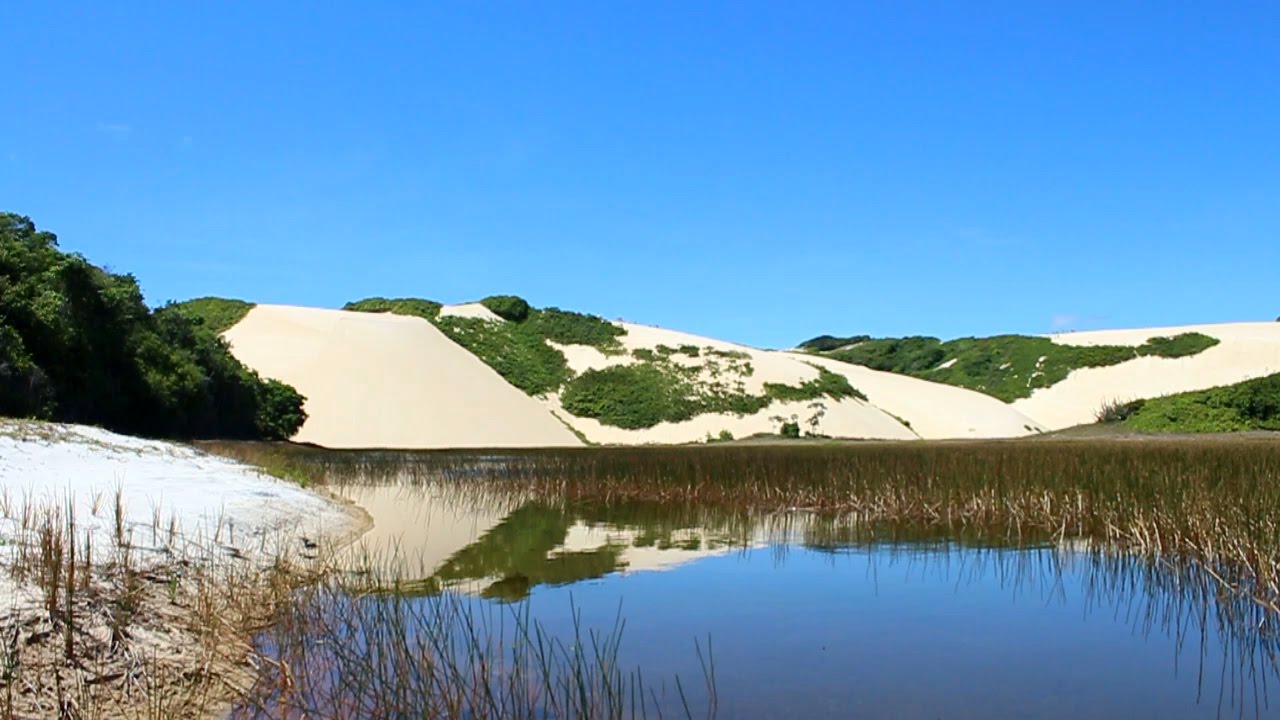 Área de Proteção Ambiental Jenipabu