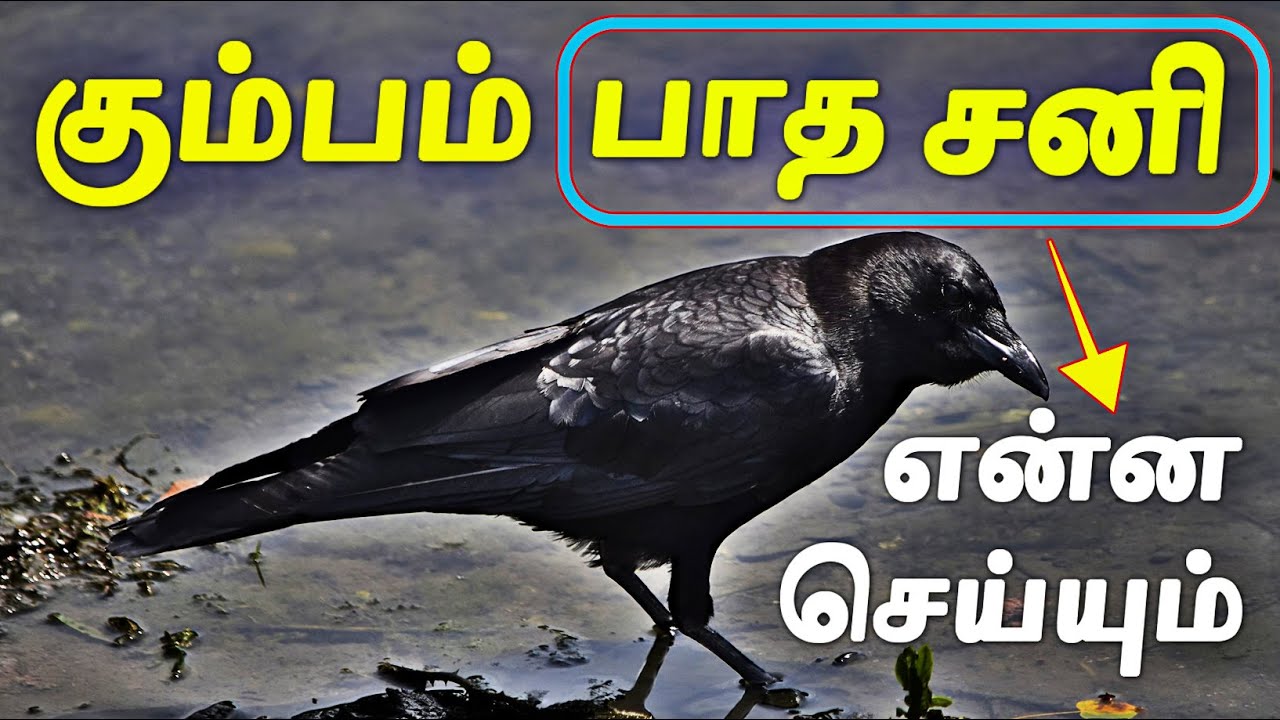 2025 சனி பெயர்ச்சி கும்பம் ராசிக்கு பாத சனி எப்படி இருக்கும் | Kumba Rasi Sani Peyarchi 2025