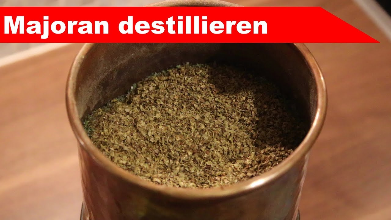 🌷 Majoran destillieren 🌻 - &auml;therisches &Ouml;l selber machen - diSTILLed