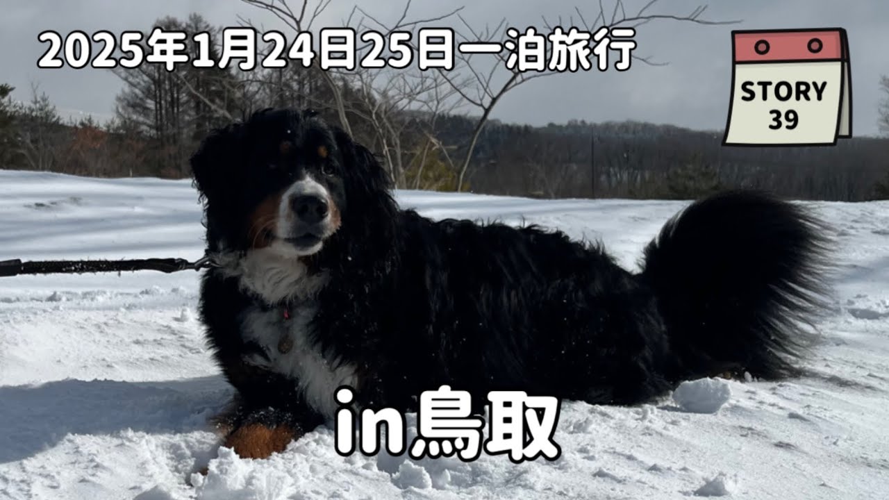 【なな物語】2025年の思い出旅行　年末のご挨拶