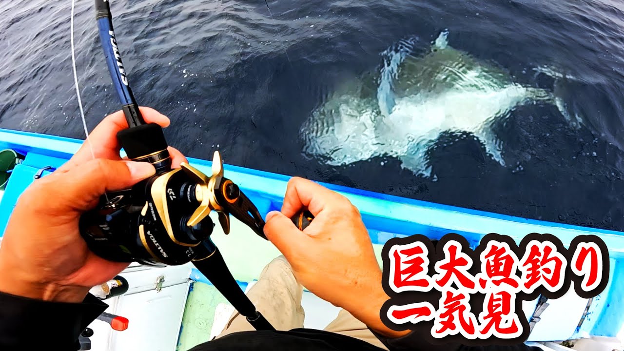ジギングで巨大魚が釣れた…（巨大魚釣り一気見・まとめ）