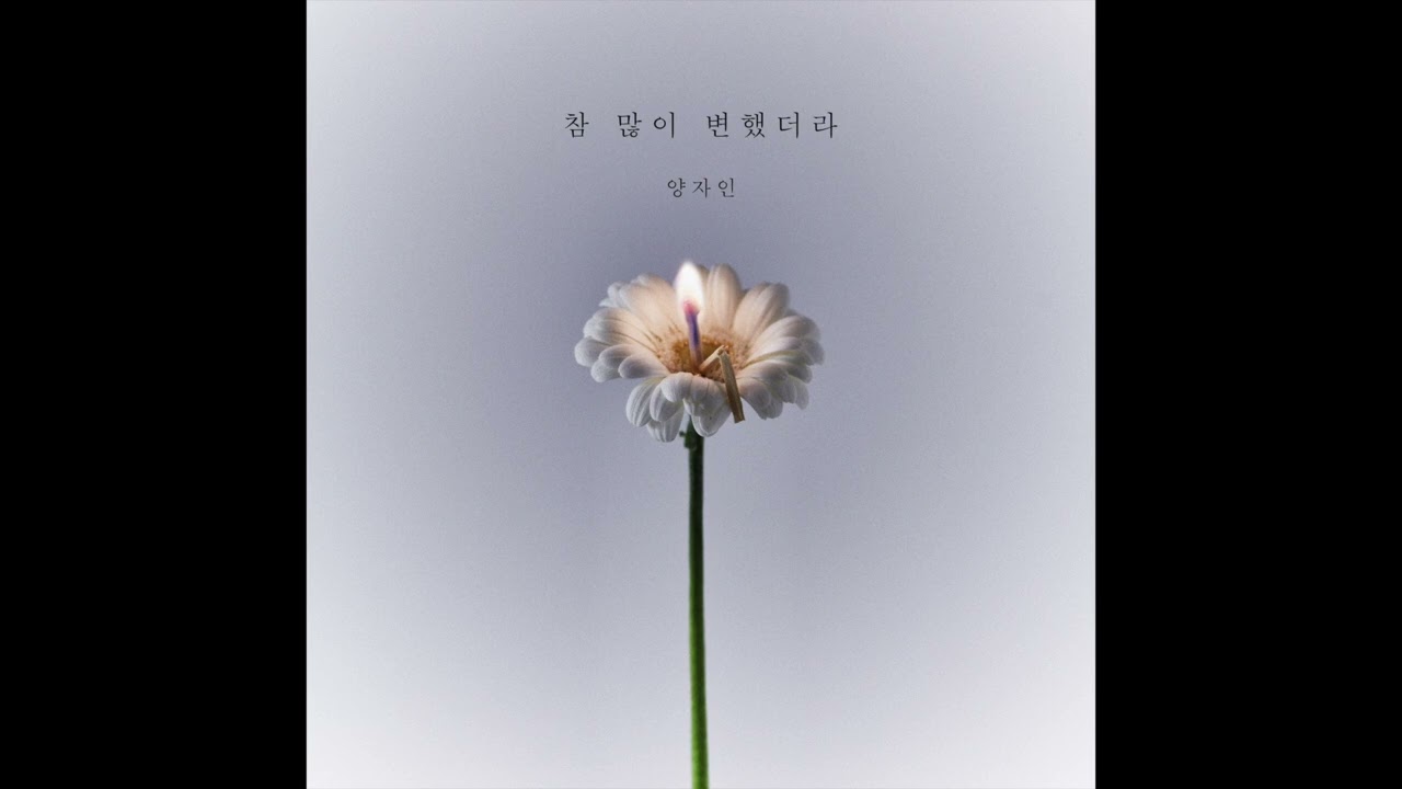 양자인(Jain) - 참 많이 변했더라(You've Changed) [Official Audio]