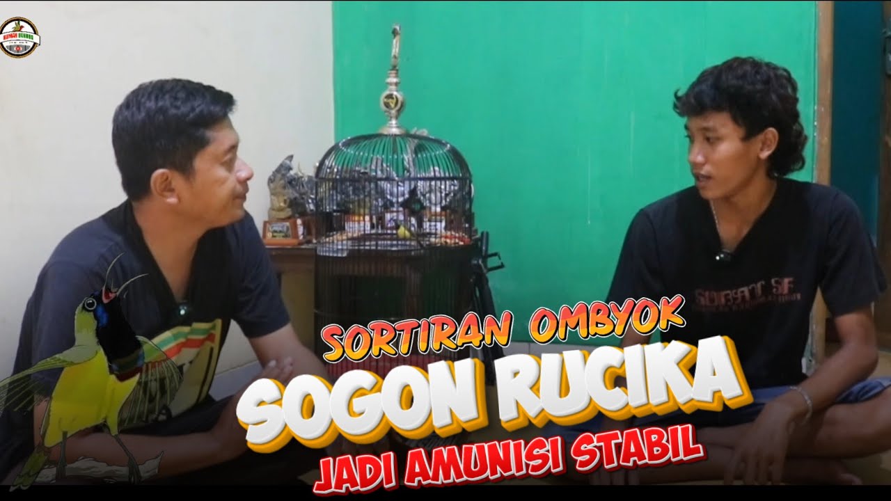 NGERAWAT DARI IJO SOGON RUCIKA STABIL HINGGA FULMET ( Rawatan )
