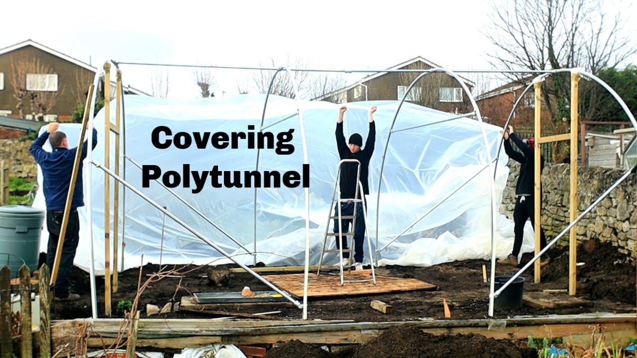 Covering The Polytunnel