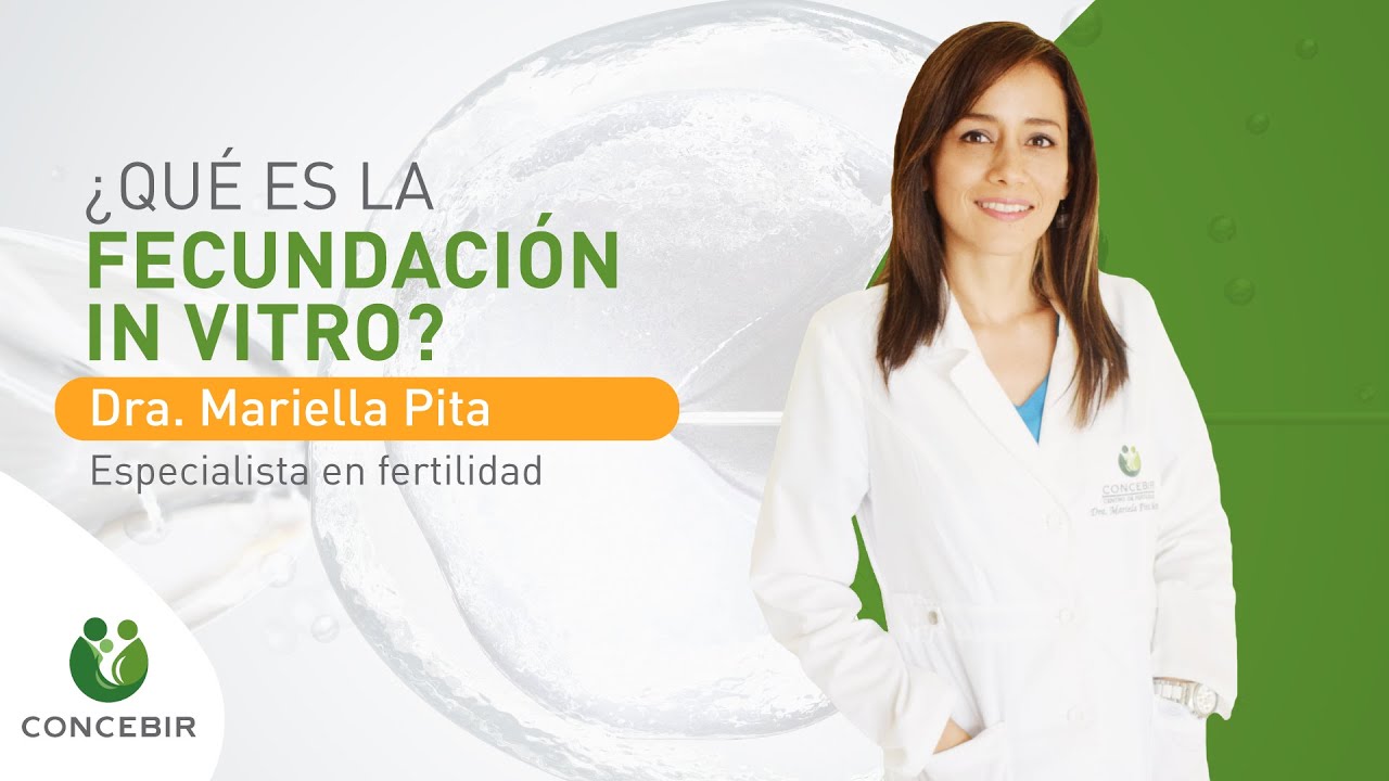 &iquest;Qu&eacute; es la Fecundaci&oacute;n In Vitro?