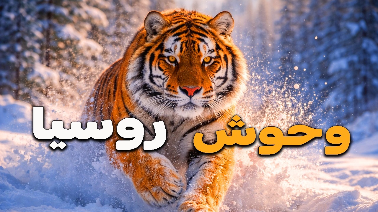 وثائقيات : حيوانات روسيا البرية – عمالقة ومفترسات سيبيريا في أقسى غابات العالم