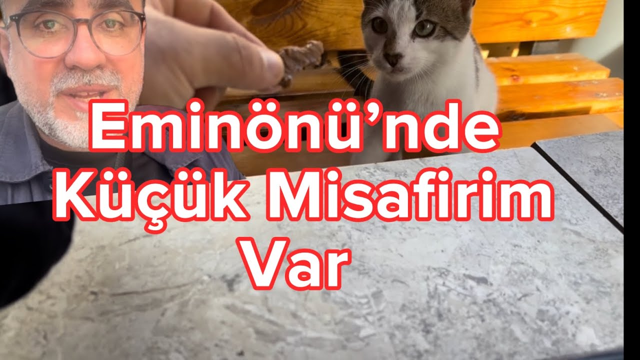 Eminönü’nde kavurmacıda kedi misafirim oldu. İstanbul’a Viyana’dan gelip de gezmemek olmaz 