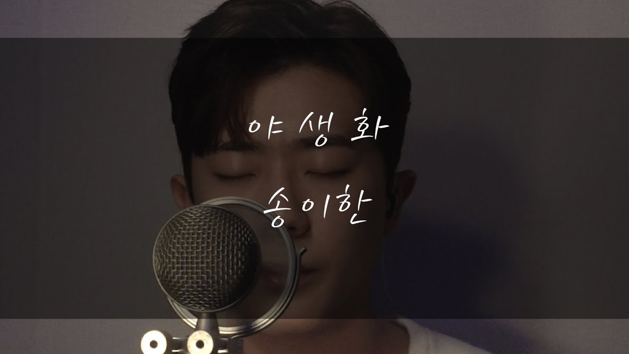 송이한 - 야생화(박효신)Cover