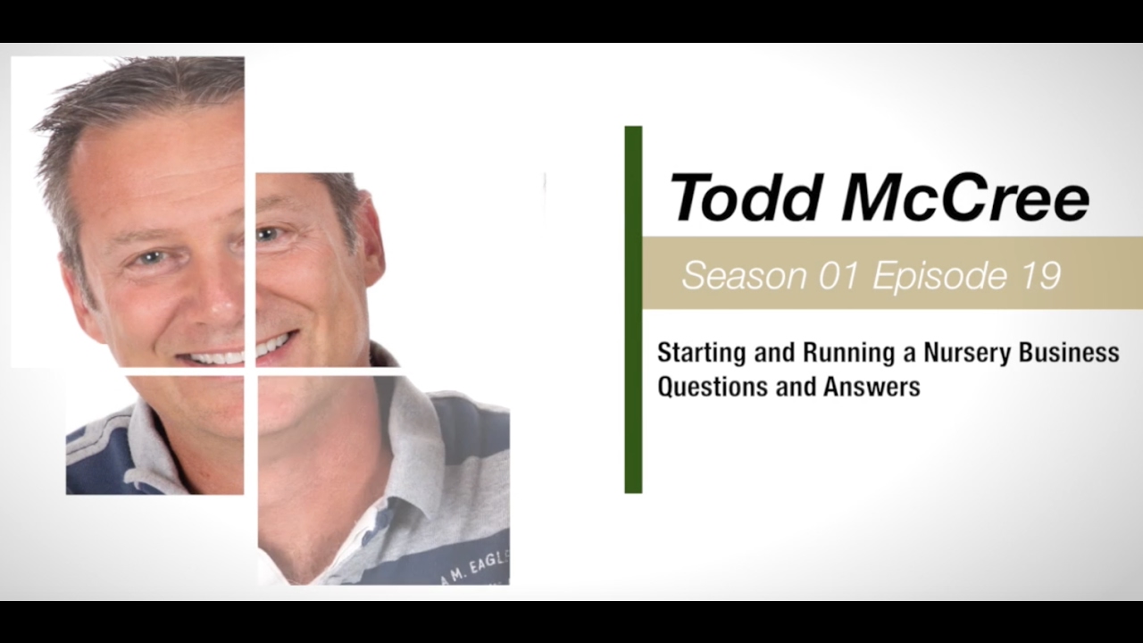 S01E19 - Todd McCree - Questions and Answers