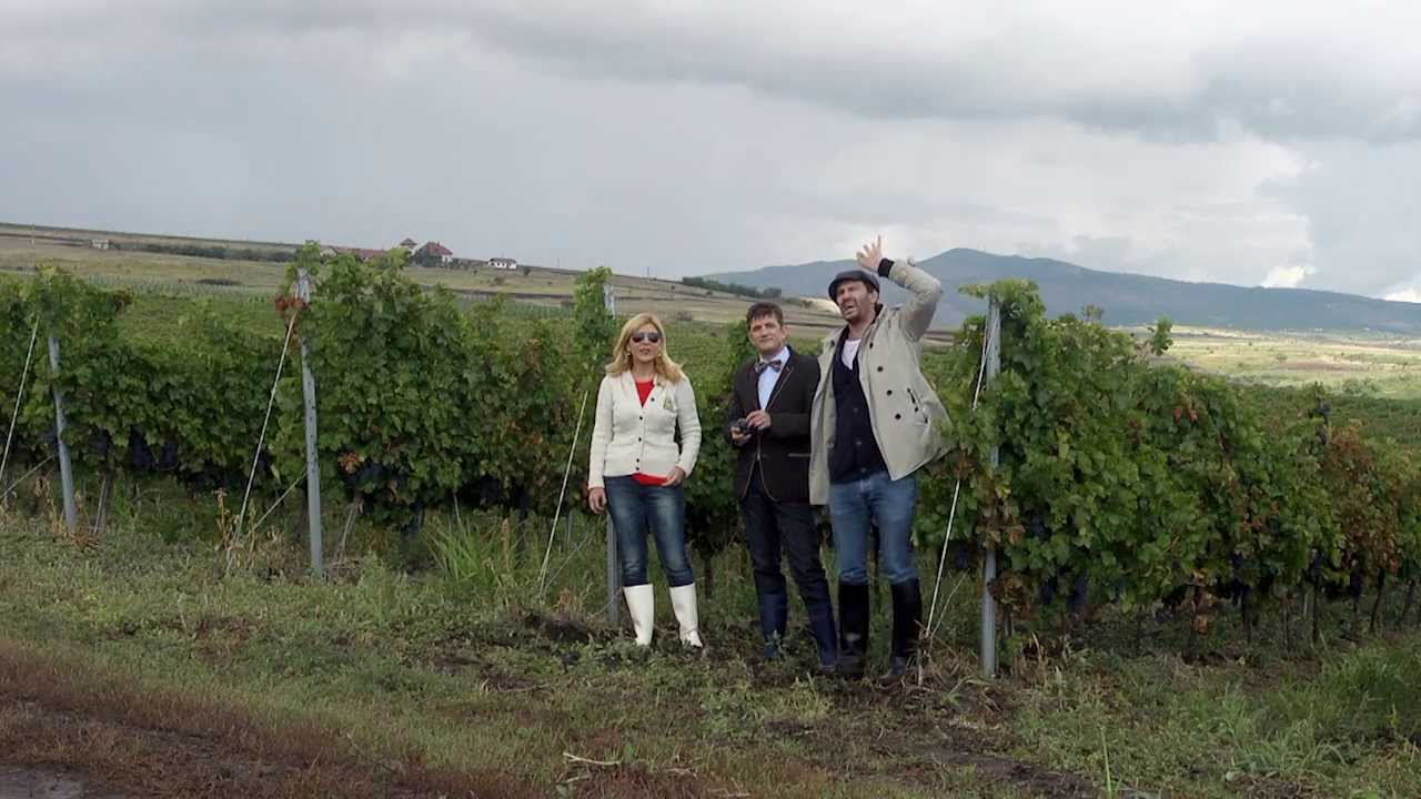 Mega Image - Vizita la Crama Aurelia Visinescu, Domeniile Sahateni