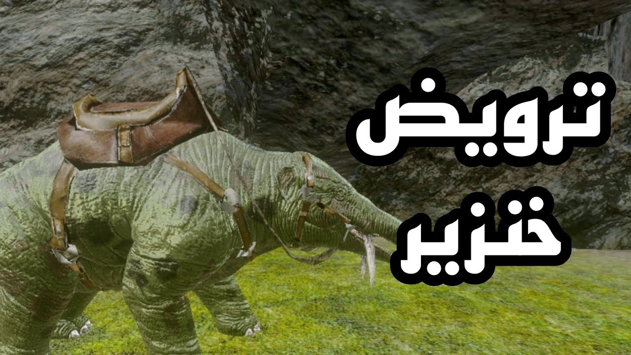 ark survival evolved mobile ترويض خنزير