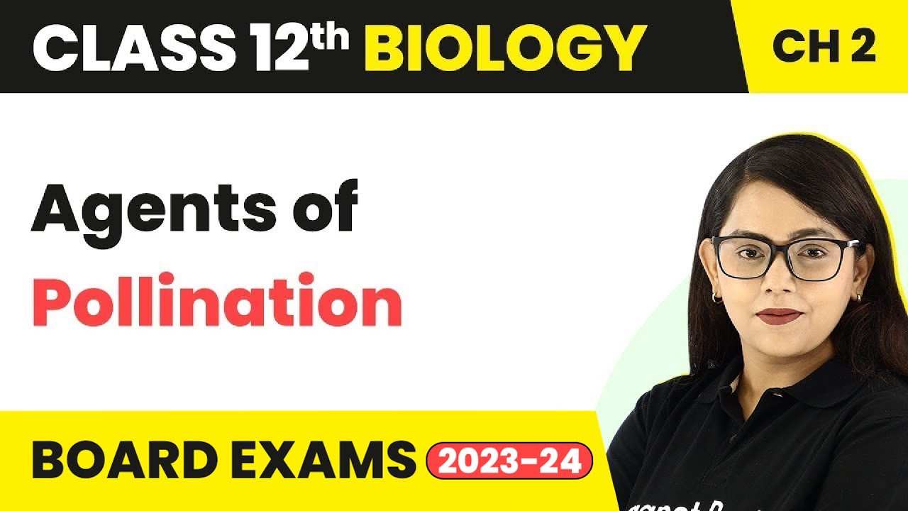 Class 12 Biology Ch2| Agents of Pollination- Sexual Reproduction in Flowering Plants NEET 2022-23