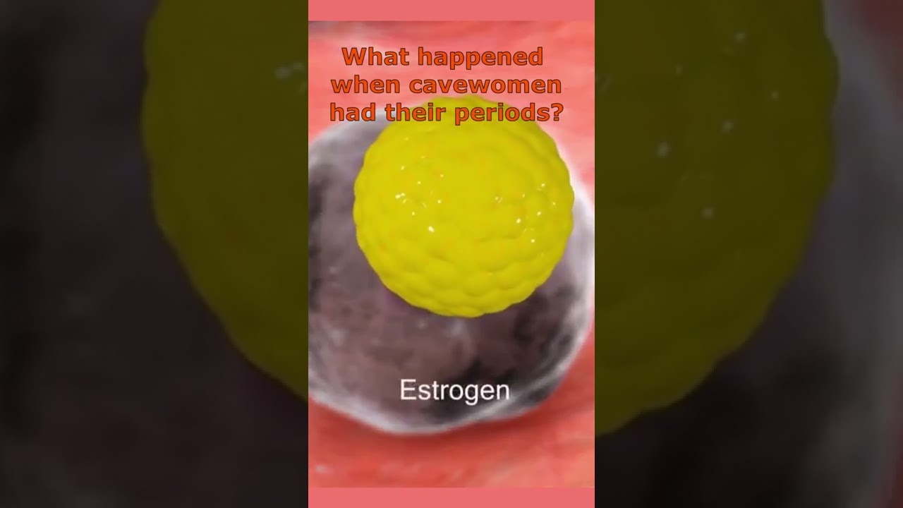 How did cavewomen deal with periods?