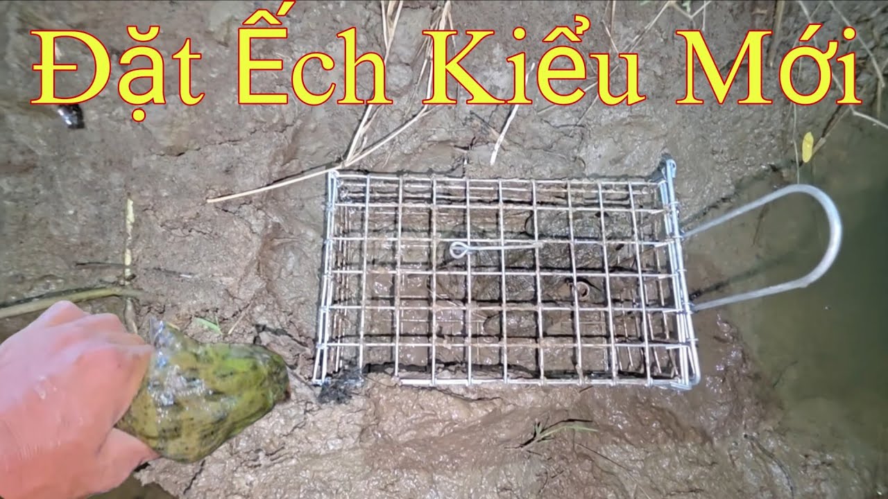 Thử Nghiệm Cách Đặt Ếch Có 1  0  2 || Giang Ca SB # 42
