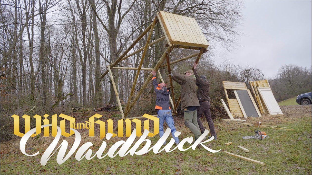 Waidblick März 2025
