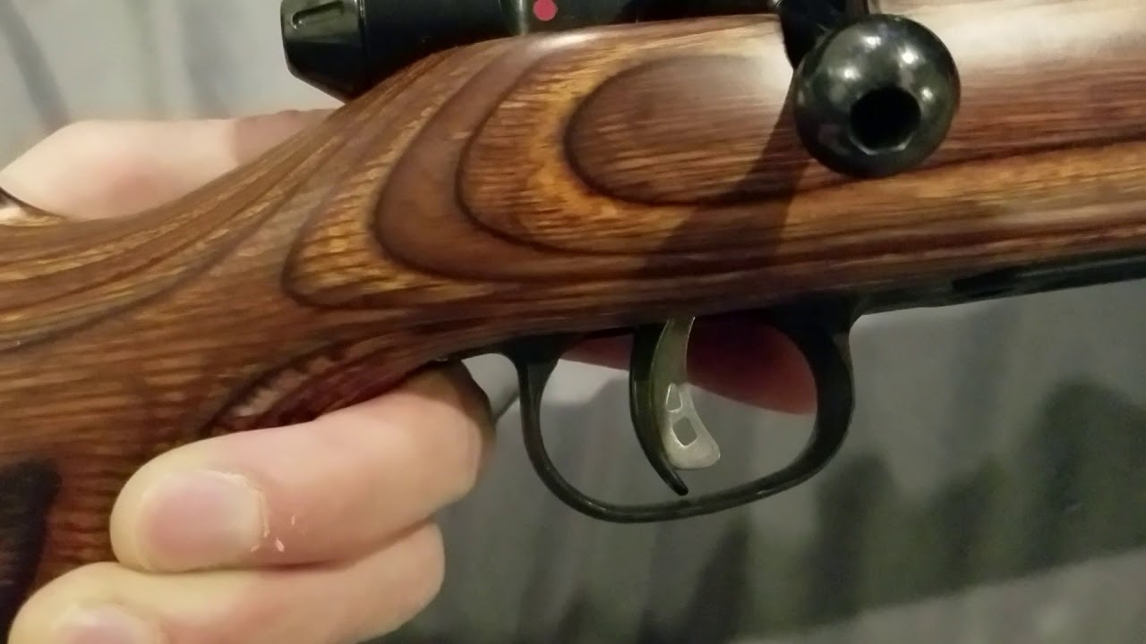 SAVAGE M - 25. .17 HORNET