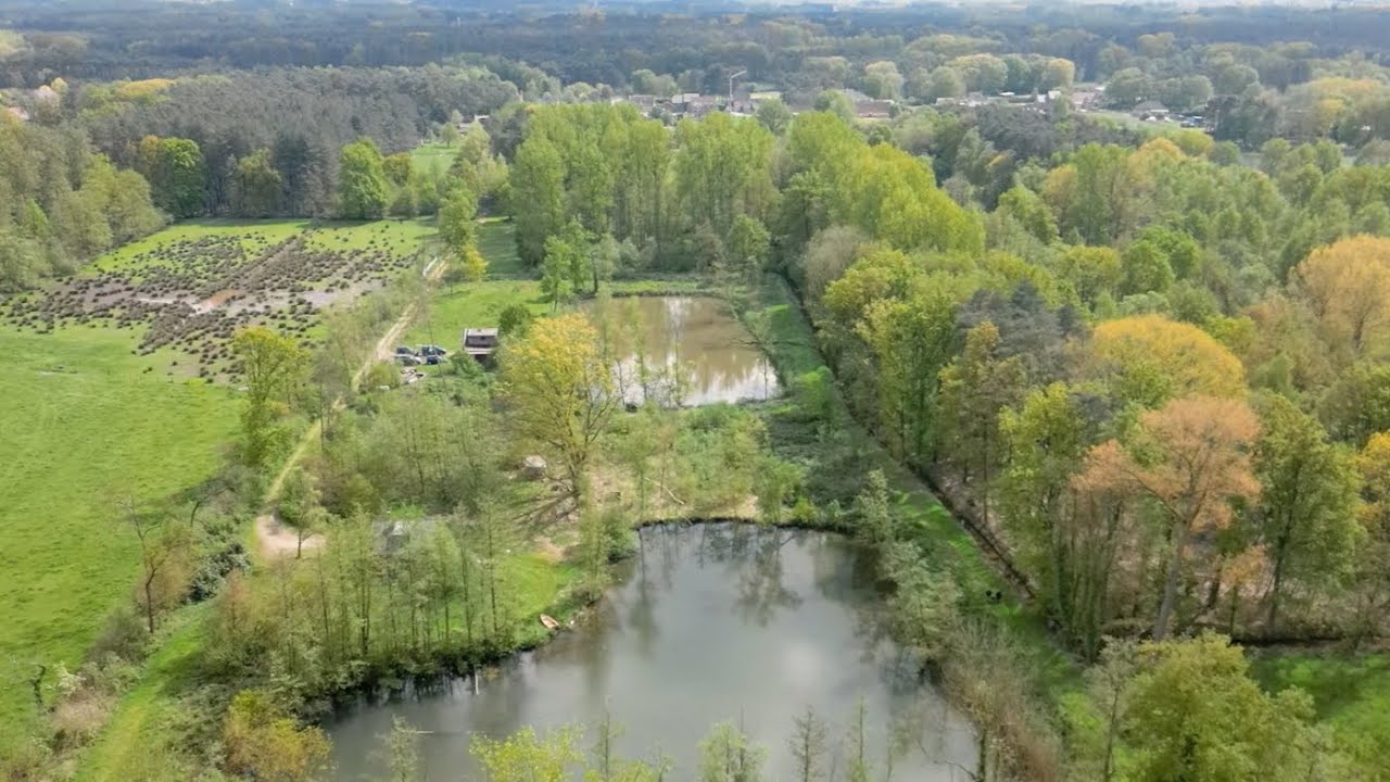 Landschapbouwers Noord Hageland Vijverherstel (reportage)