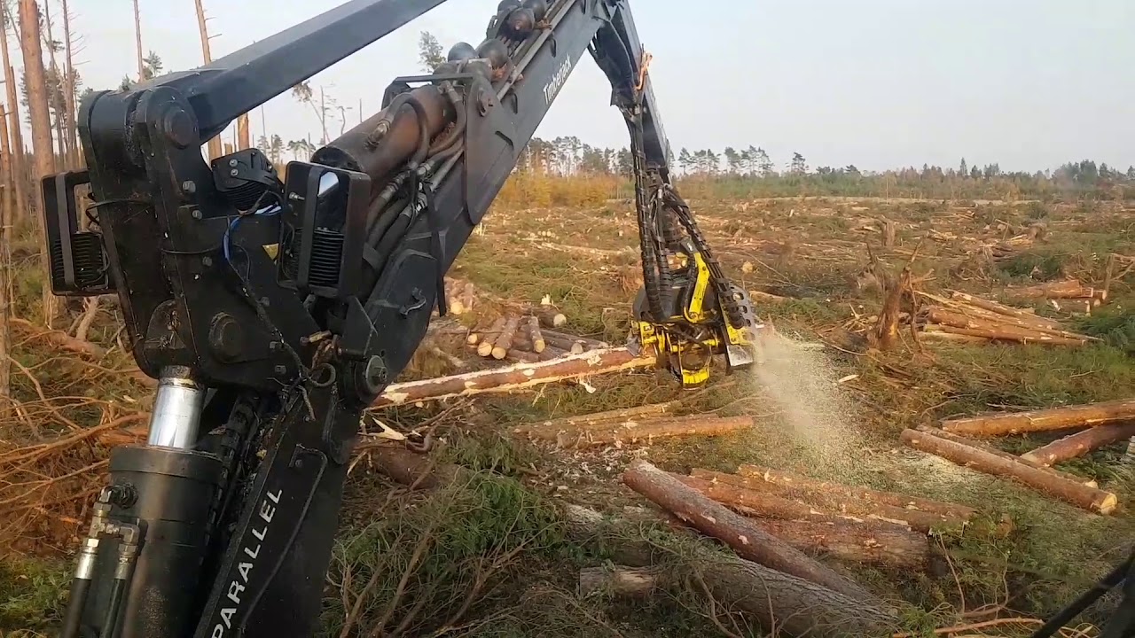 Kombajn zrębowy tzw. harwester w akcji