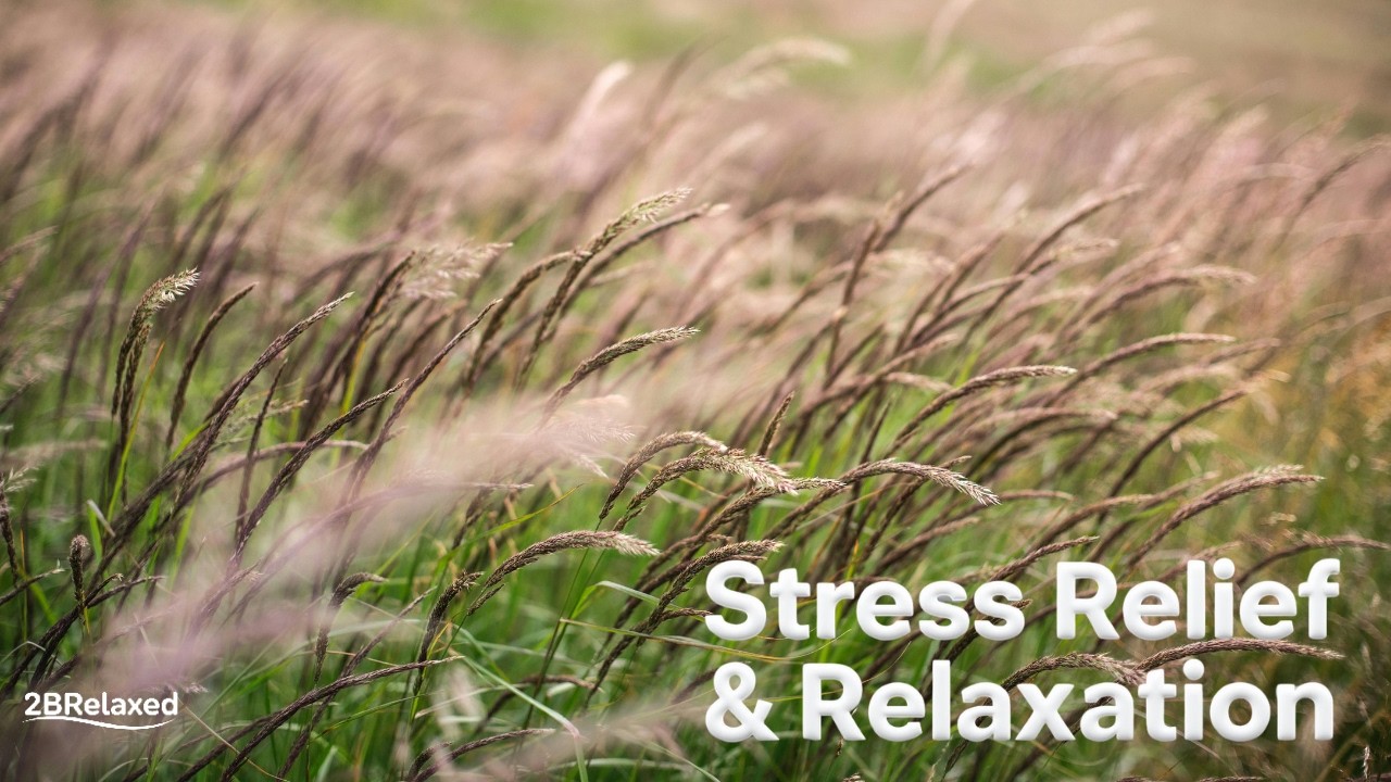 Relaxing Music for Stress Relief and Relaxation