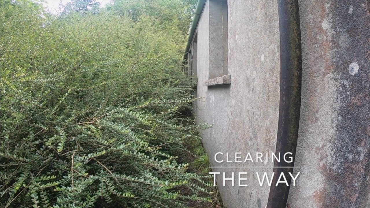 Irish Cottage Renovation - Clearing The Way | Altavra Homestead Vlog 2