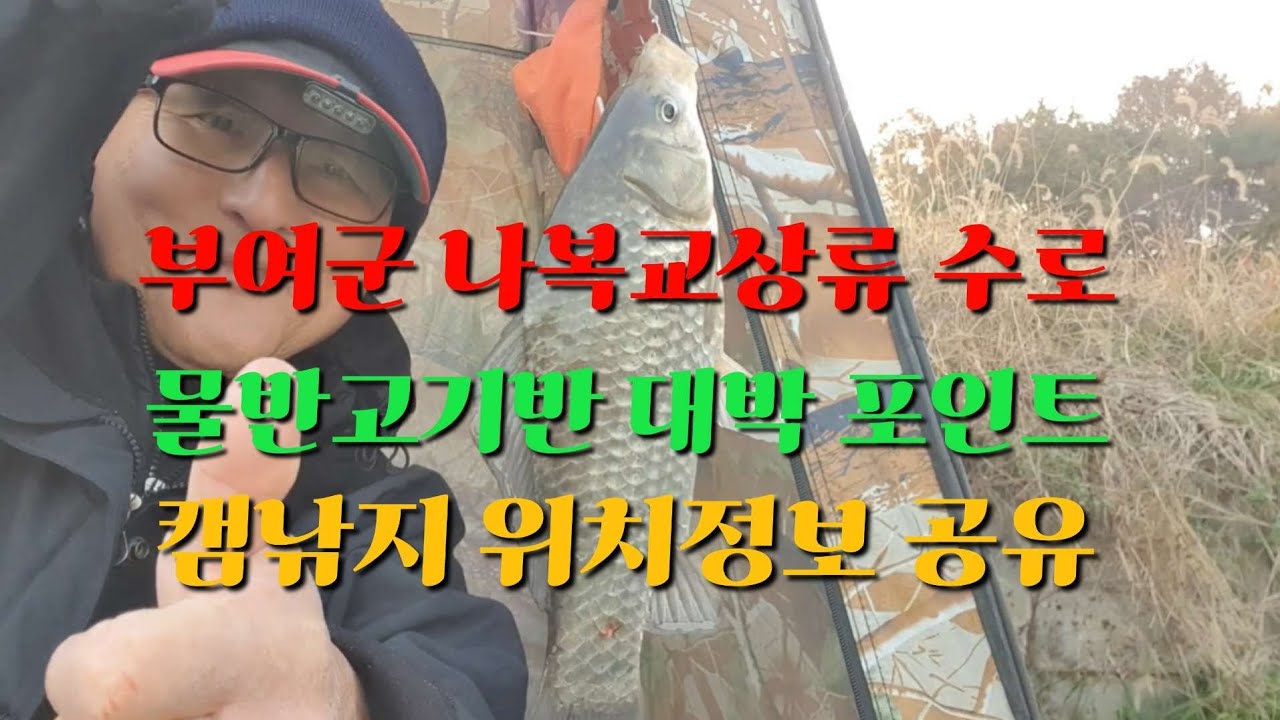 부여 라복교 상류 캠낚지 및 물반 고기반 포인트 공유 #노지낚시터 #부여여행 #겨울붕어낚시 #수로낚시 
