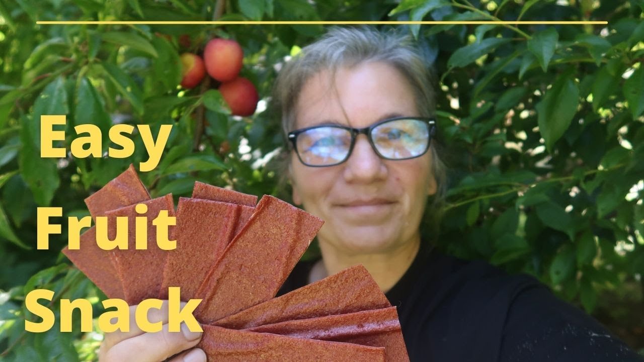 Make Fruit Leather | No added Sugar | So Easy!
