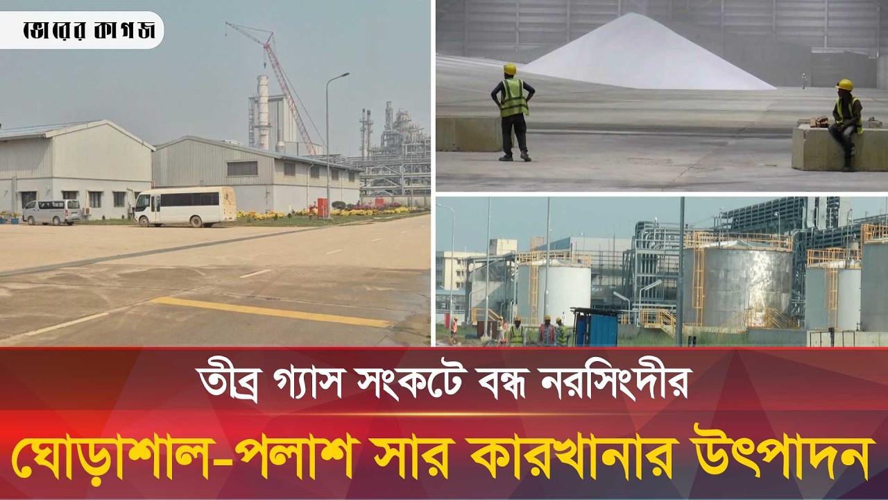 তীব্র গ্যাস সংকটে বন্ধ নরসিংদীর সার কারখানার উৎপাদন || Bhorer kagoj news