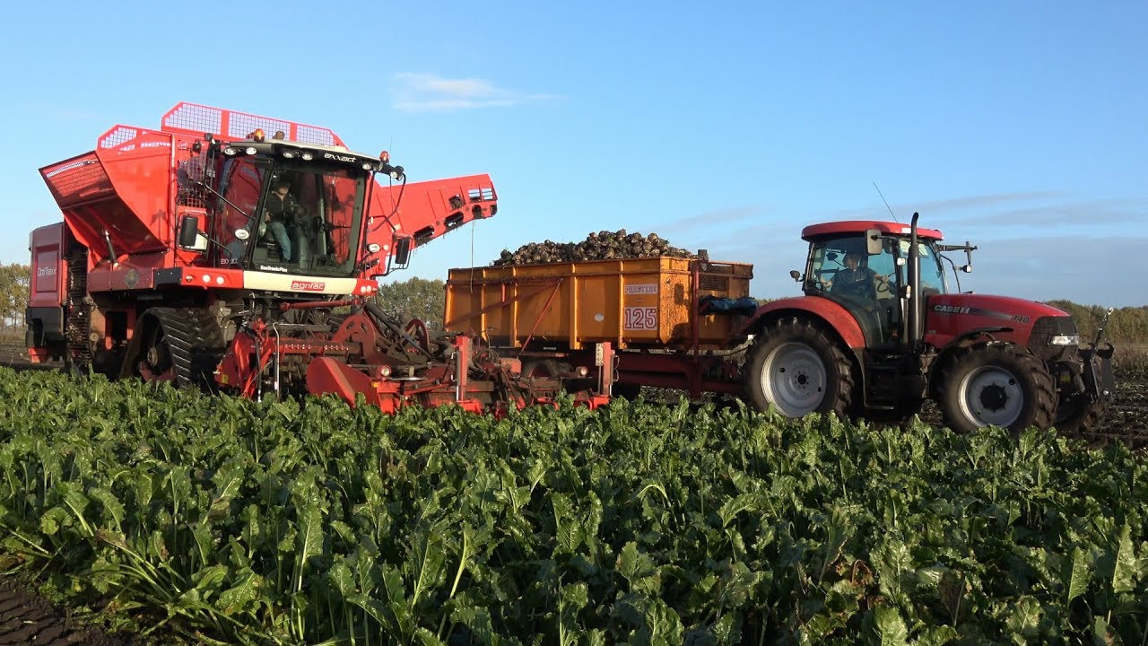 Suikerbieten rooien met Agrifac Exxact OptiTraxx - Loonbedrijf Breemhaar (2017)