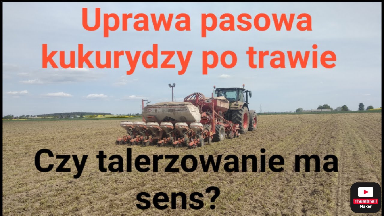 Uprawa pasowa kukurydzy po mieszance gorzowskiej.