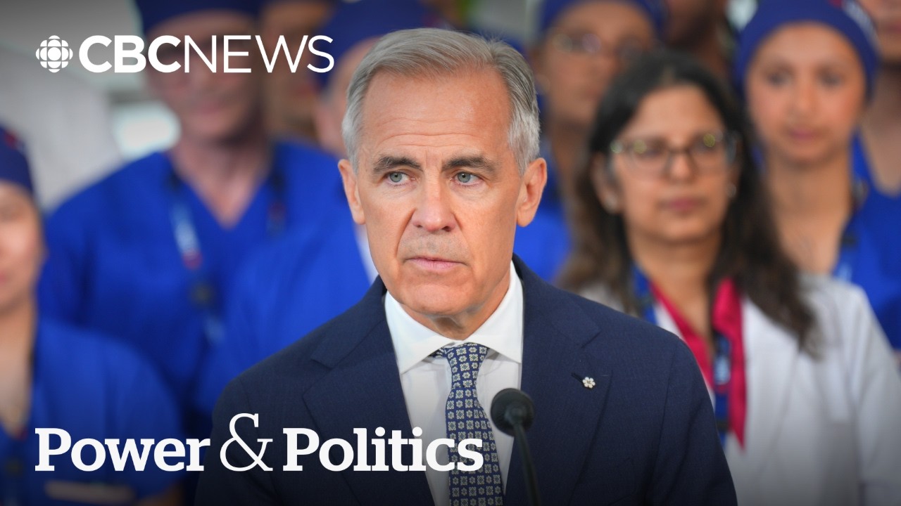 Carney rolls out 'AI for All' strategy. Does it go far enough? | Power & Politics
