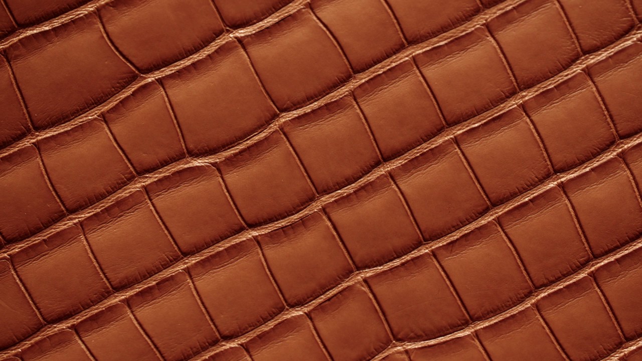 Making a Handmade Alligator Watch Strap