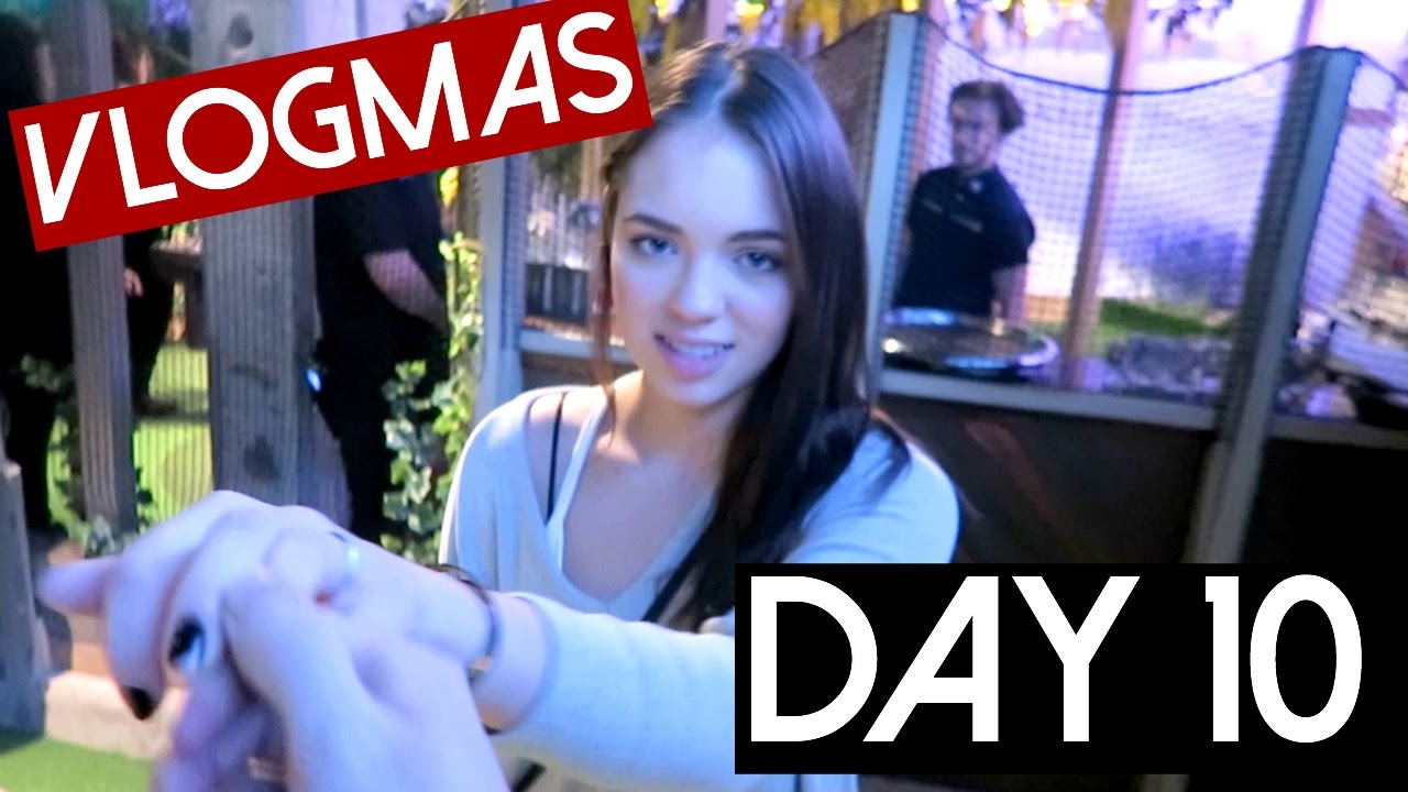 Вечер с Харрисоном! Vlogmas, 10-й день 2016 года.