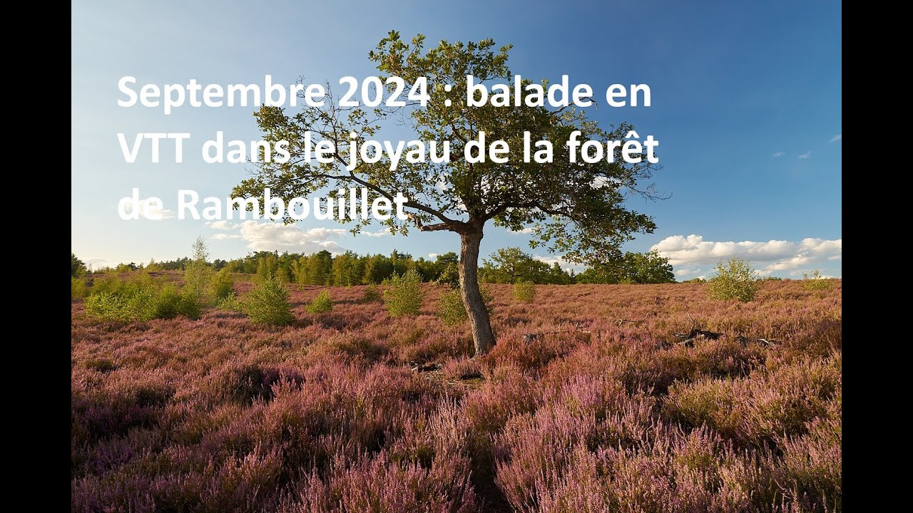 1er septembre 2024 : balade en VTT dans LE joyau de la forêt de Rambouillet