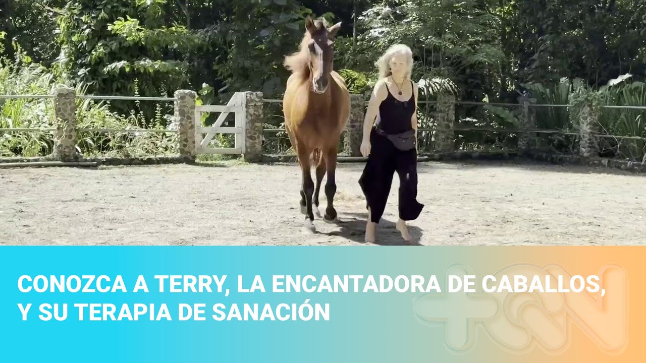 Conozca a Terry, la encantadora de caballos, y su terapia de sanación