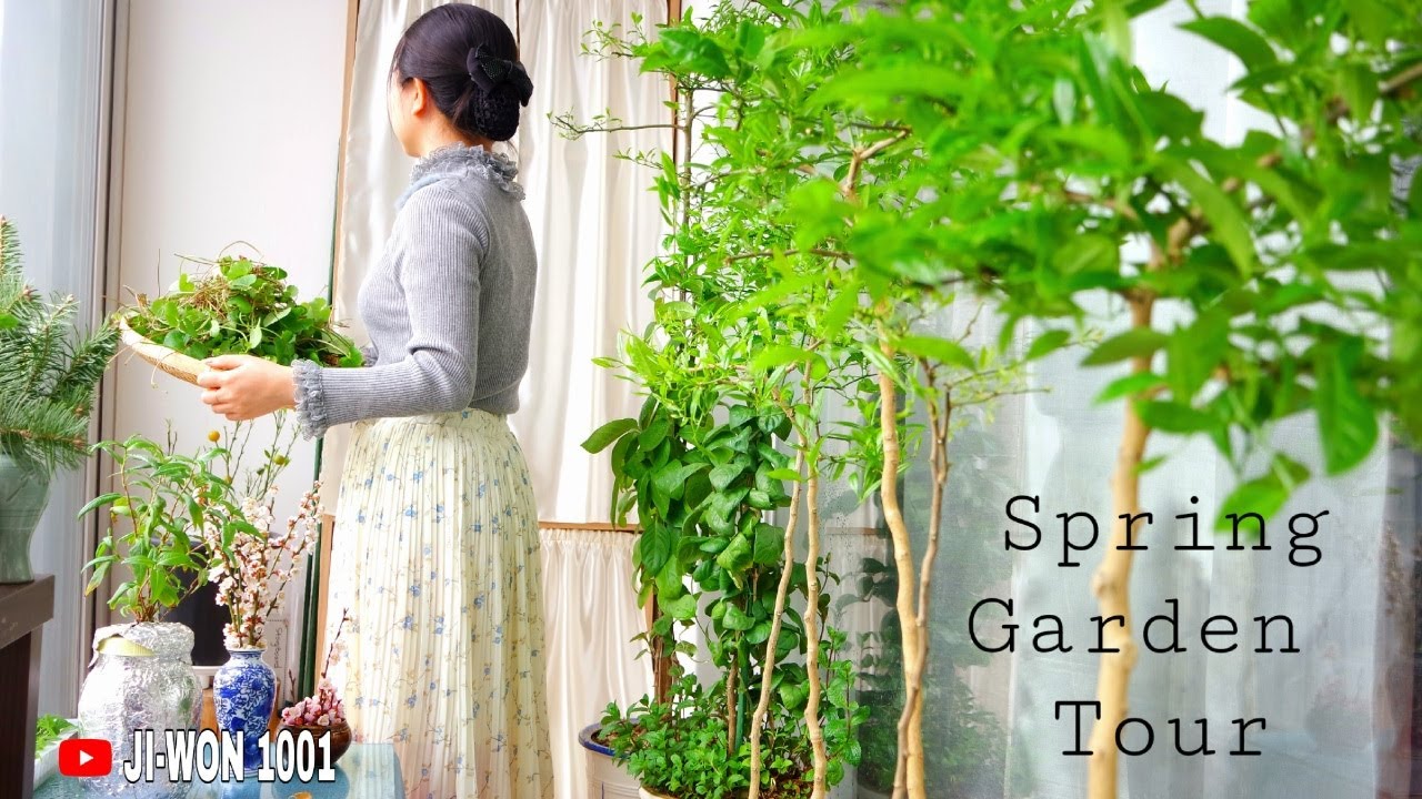 Spring Organic Garden Harvest.|| South Korean Spring Balcony Garden Tour.