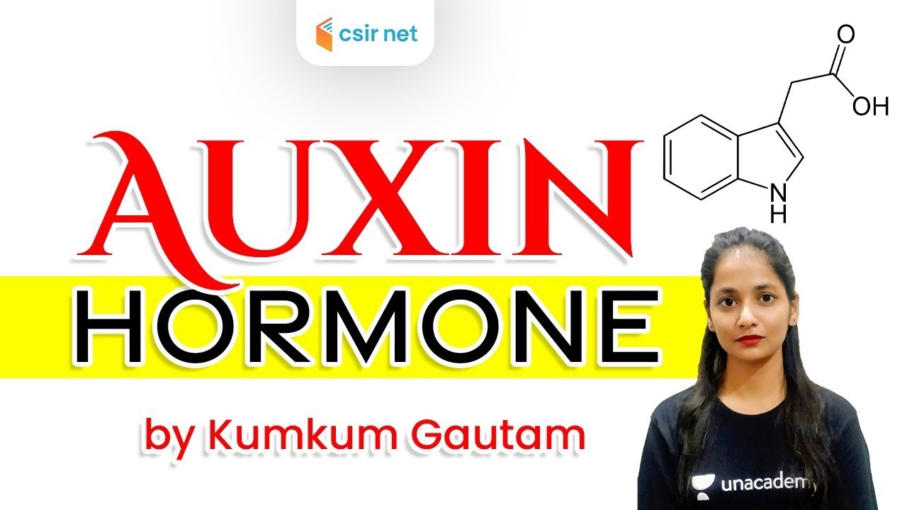 CSIR NET 2020 | Life Science by Kumkum Ma'am | Auxin Hormone | Plant Growth & Development