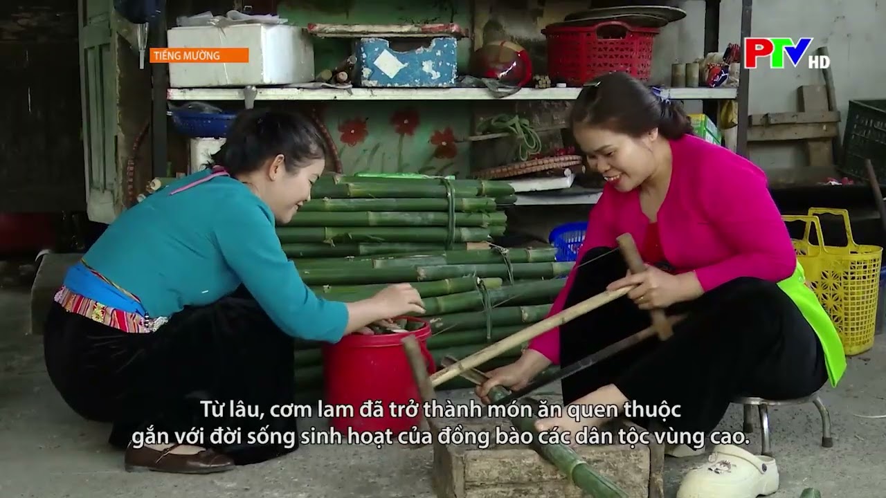 23 2 Muong