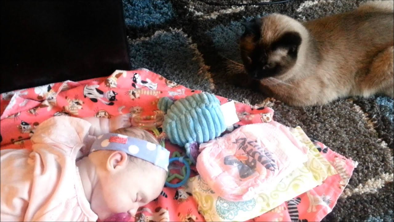 Reborn Baby Day In the Life! (Baby Melissa)