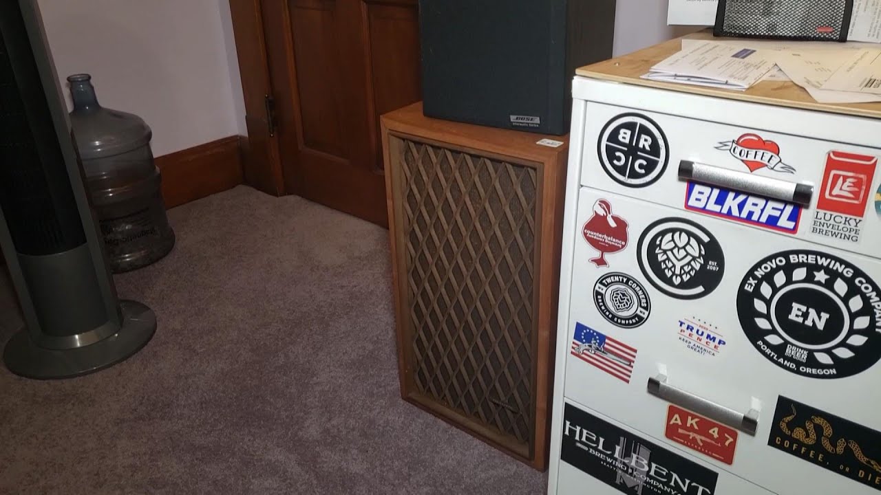 Thrift Store Jackpot! Vintage Realistic Nova 7B speakers
