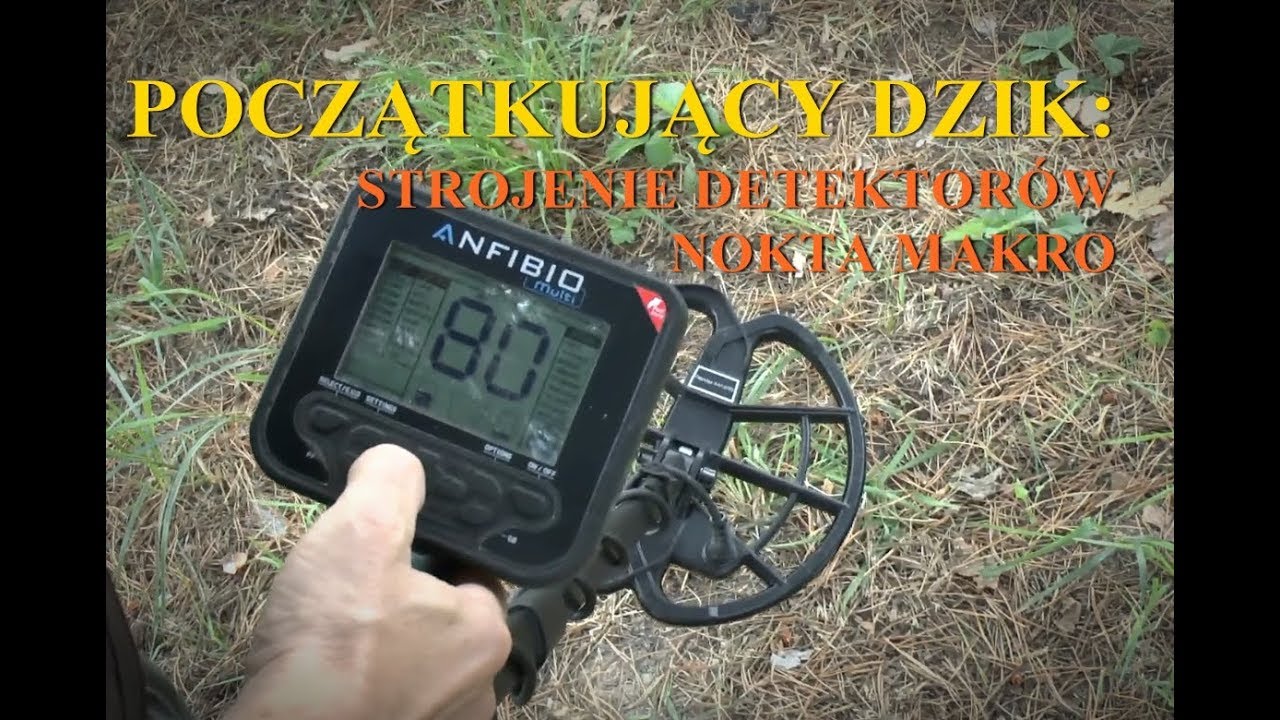 POCZĄTKUJĄCY DZIK: STROJENIE DETEKTORÓW NOKTA MAKRO (ODC. 3)