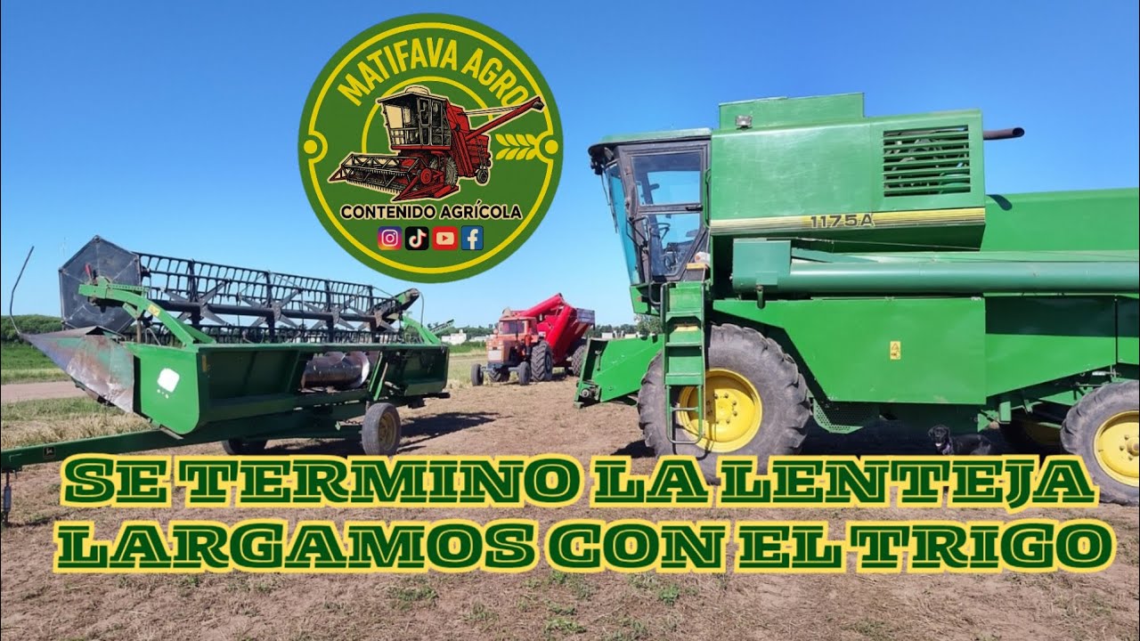 COSECHA DE LENTEJA Y TRIGO 2025