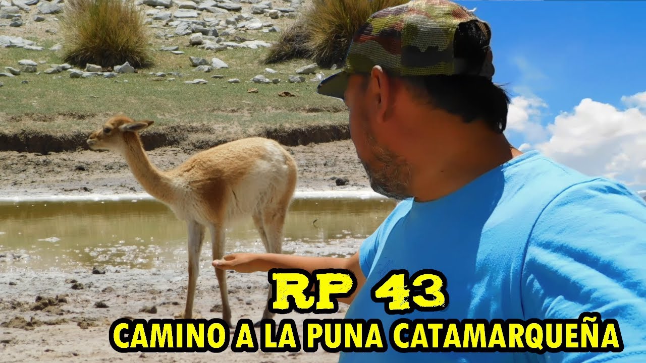 LA 43 - Camino a la Puna Catamarqueña