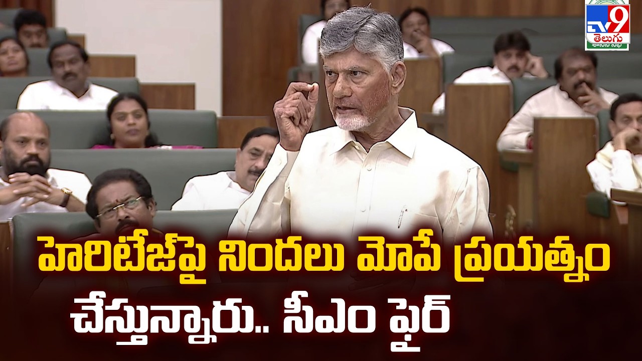 CM Chandrababu About Fake Ghee Issue | హెరిటేజ్ పై నిందలు మోపే ప్రయత్నం చేస్తున్నారు.. సీఎం  ఫైర్