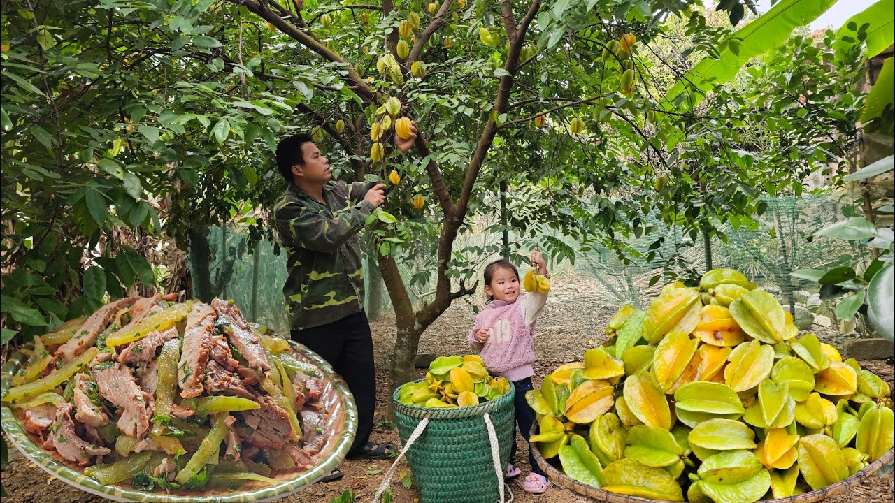 Harvesting star fruit go to market-Cooking,Starfruit salad with grilled meat.
