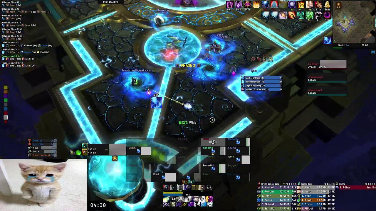Throne of Thunder 25 HC - Disc/Holy Priest PoV