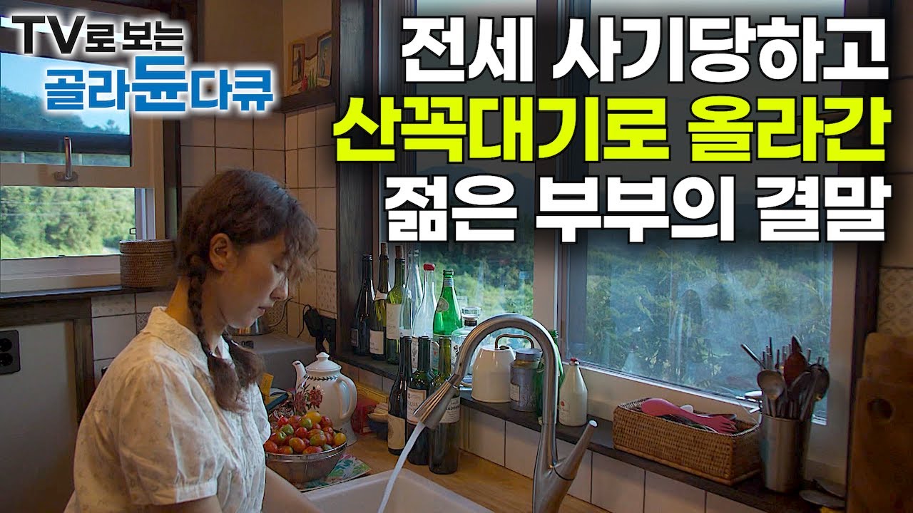 전세 사기당하고 절망하기 보다 스스로의 인생을 새롭게 개척한 젊은 부부 인생 스토리｜겨우 건진 돈으로 산골 산꼭대기에 미국식 단독 주택을 지은 남자와 여자｜건축탐구 집｜#골라듄다큐