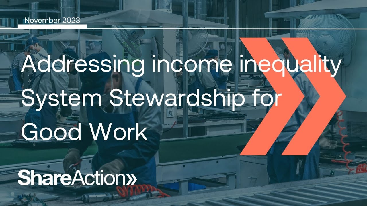 Addressing income inequality System Stewardship for Good Work