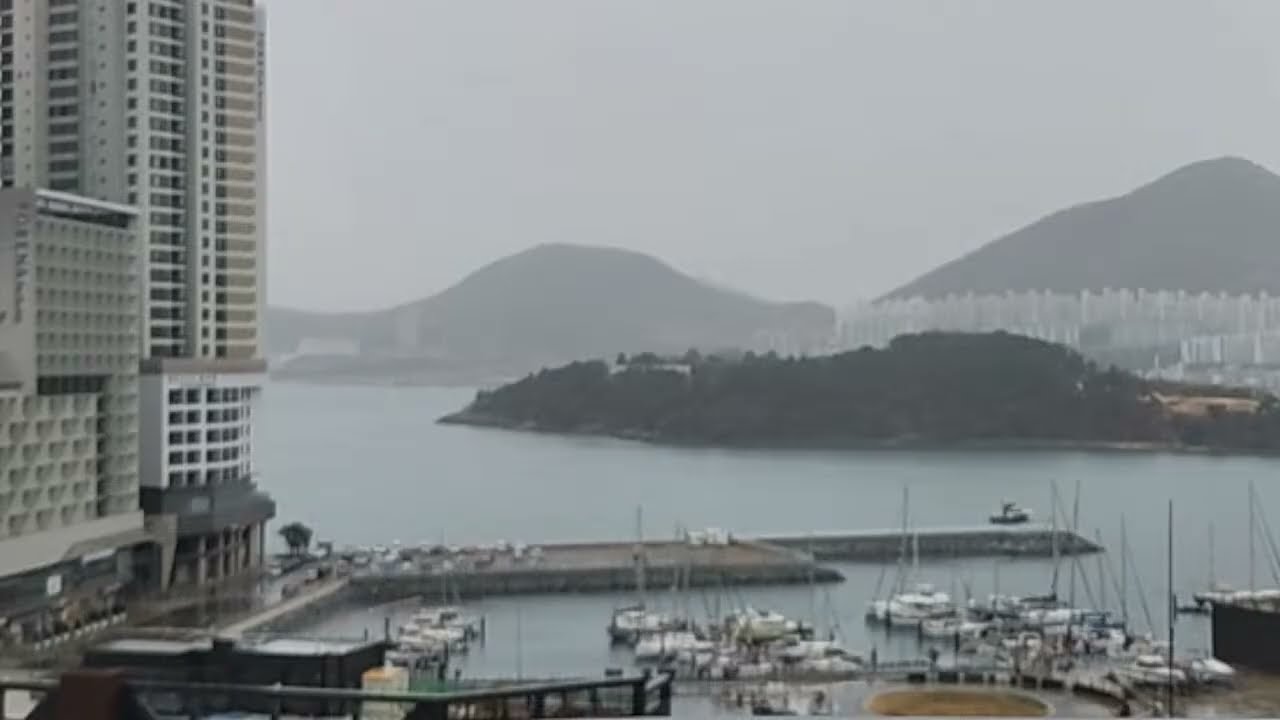 힐링영상, 비오는 날 마음 편하게 즐기는  바다뷰 실시간 라이브