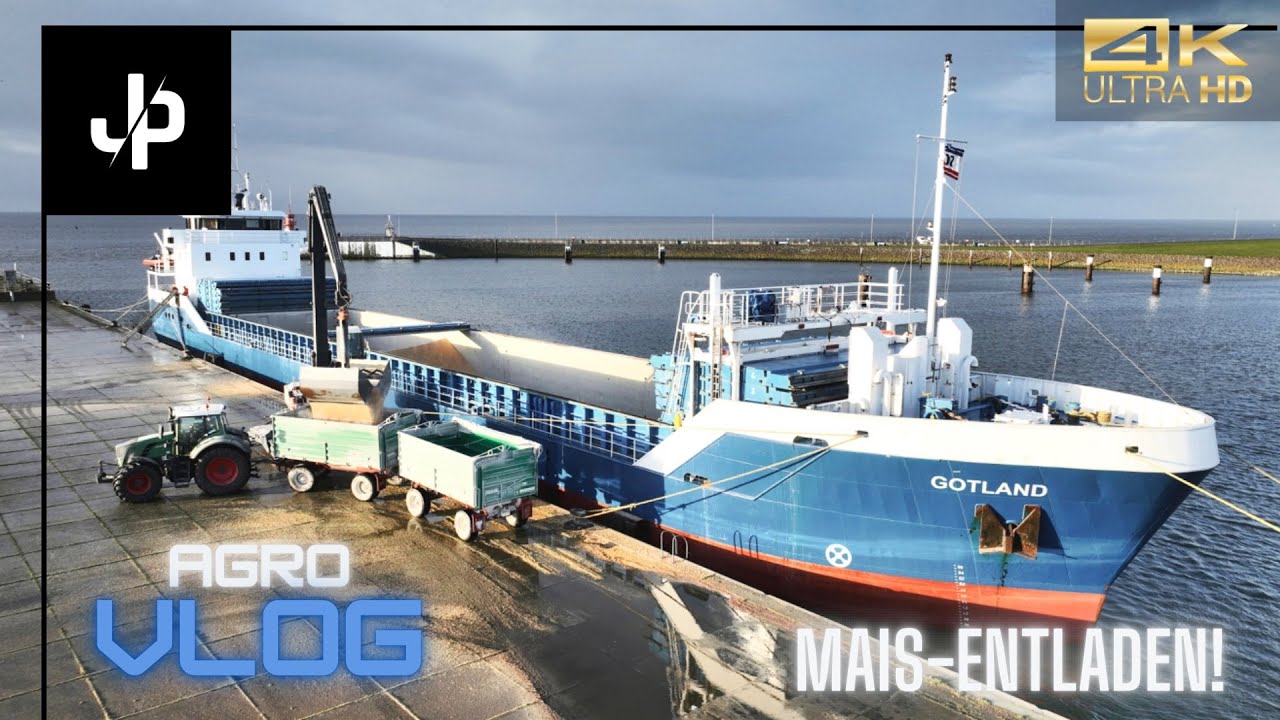 Nordsee: Mais für den Landhandel entladen -  Agrovlog#17 || JP Agrar