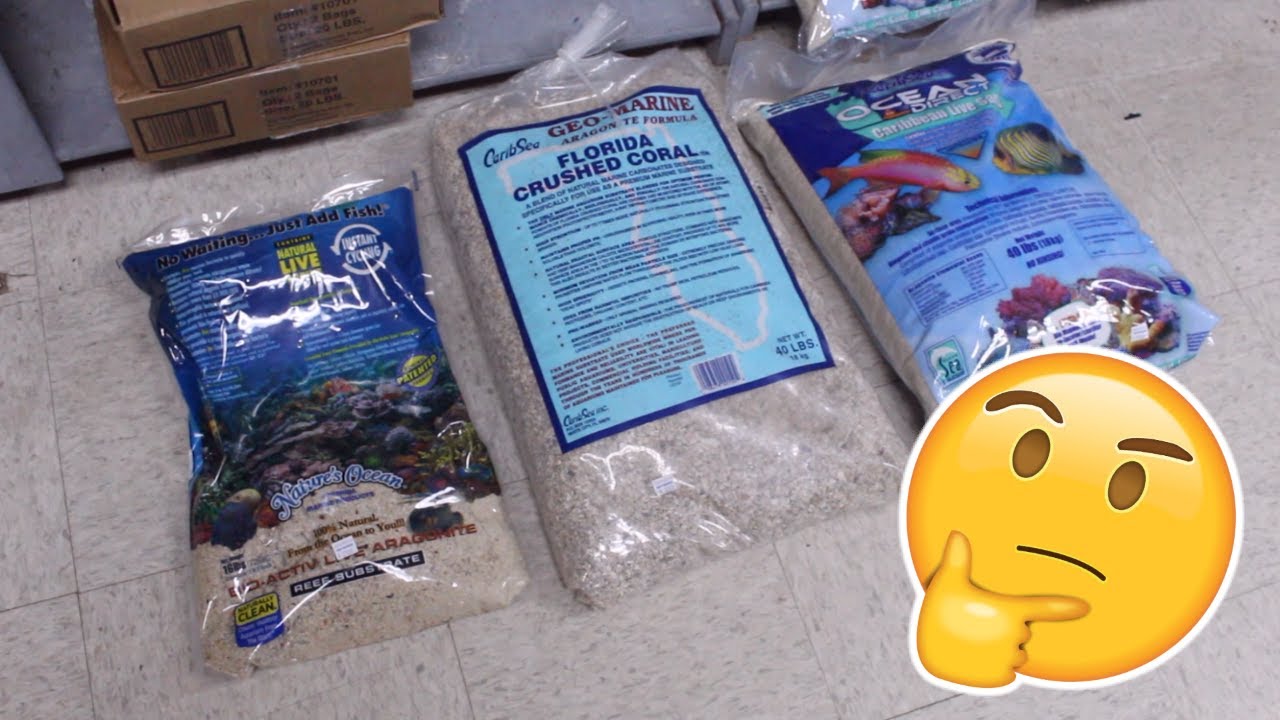 What substrate/Decorations Can I Put in My Tank? | Tank Tips